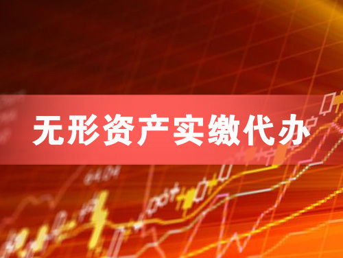 林芝无形资产实缴资本代办